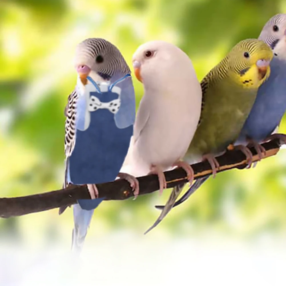 

Bird Clothes Dizzy Diapers Reusable Flight Suit Parrot Nappies Cotton for Birds Protective