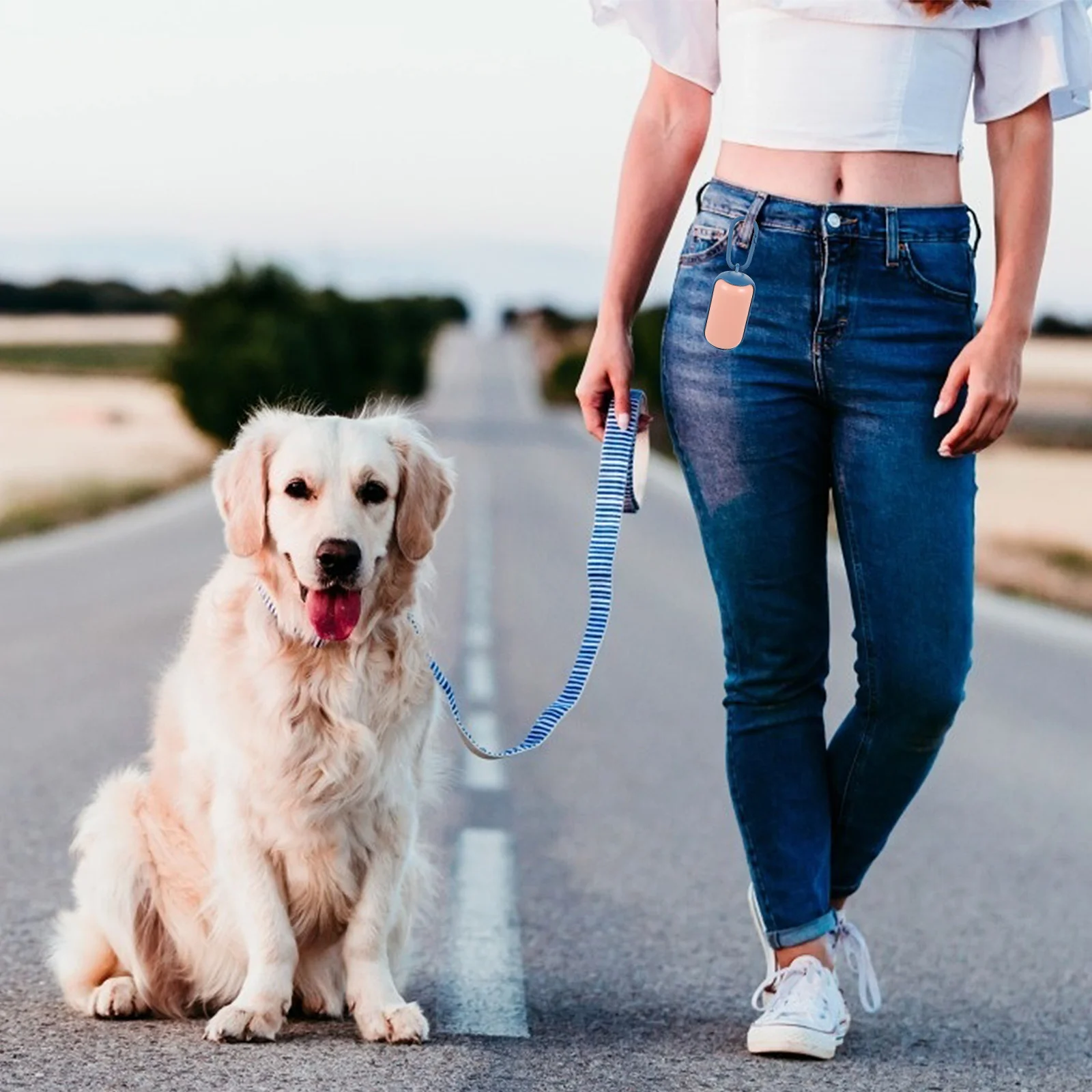 

3 Pcs Portable Toilet Picker Dog Waste Bag Holder Pouches Walking Pet Automatic