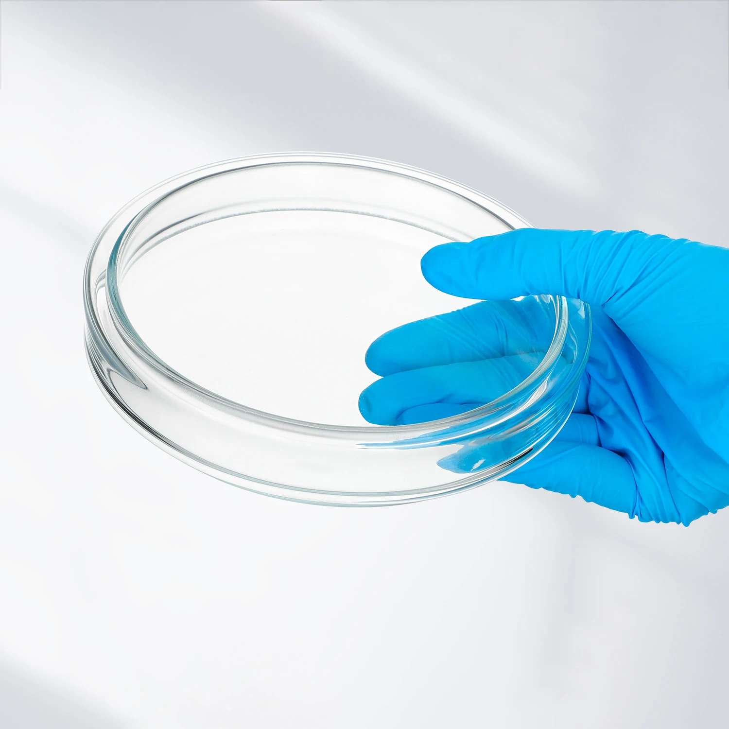 10 pieces of high-quality glass petri dishes, 75mm flat bottom, high borosilicate glass, ultra-white thickened