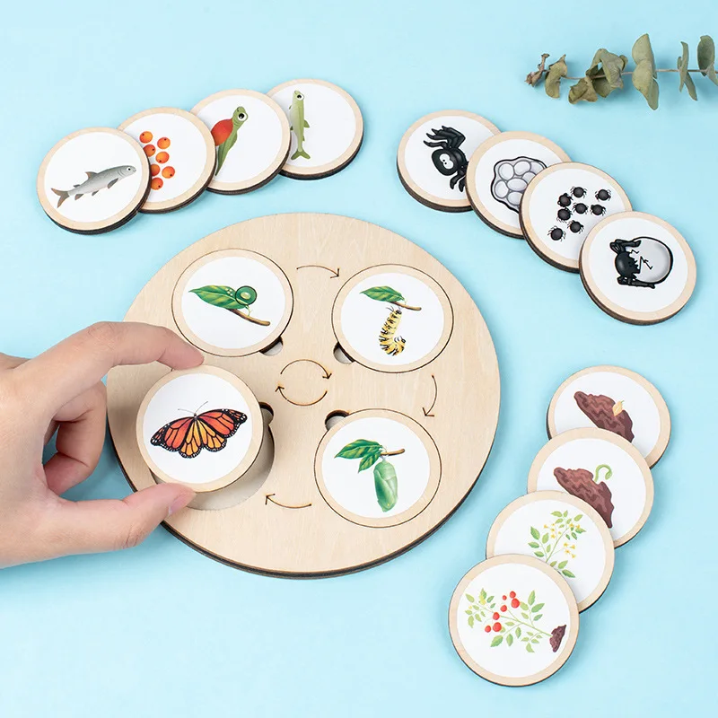 Montessori Wooden Animal And Plant Life Cycle Changes Board Set For Preschool Children Enlightenment Early Education Toys Gift