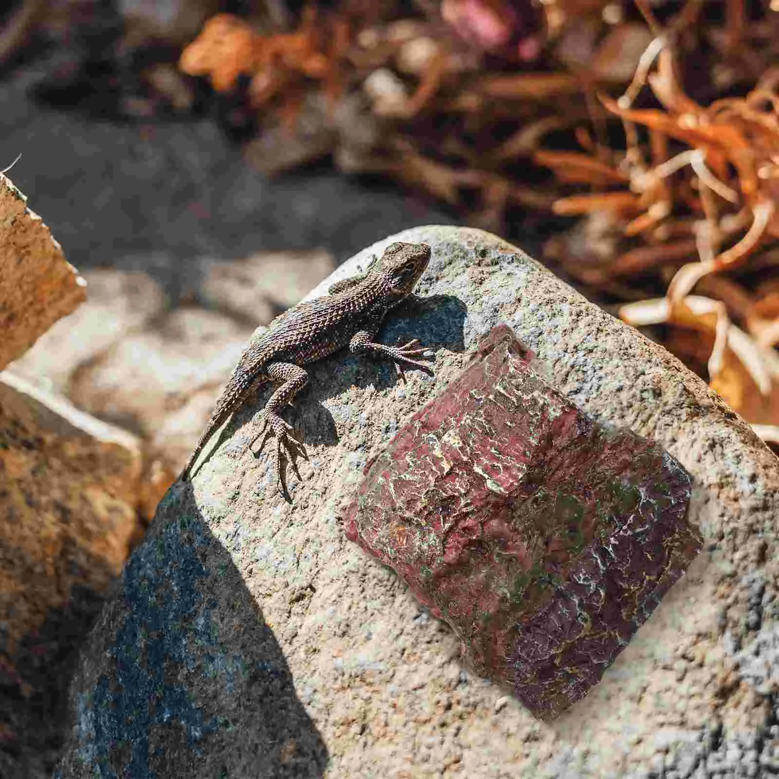 Réptil escondendo buraco sapo habitat criativo tartaruga rampa cobra esconder terrário acessórios tanque de resina caverna esconderijos e cavernas animal