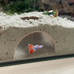 1PC Aquarium cave Fish tank underground hiding cave For Aquatic Pets To Breed, Play AndRest Fish Tank Ornaments
