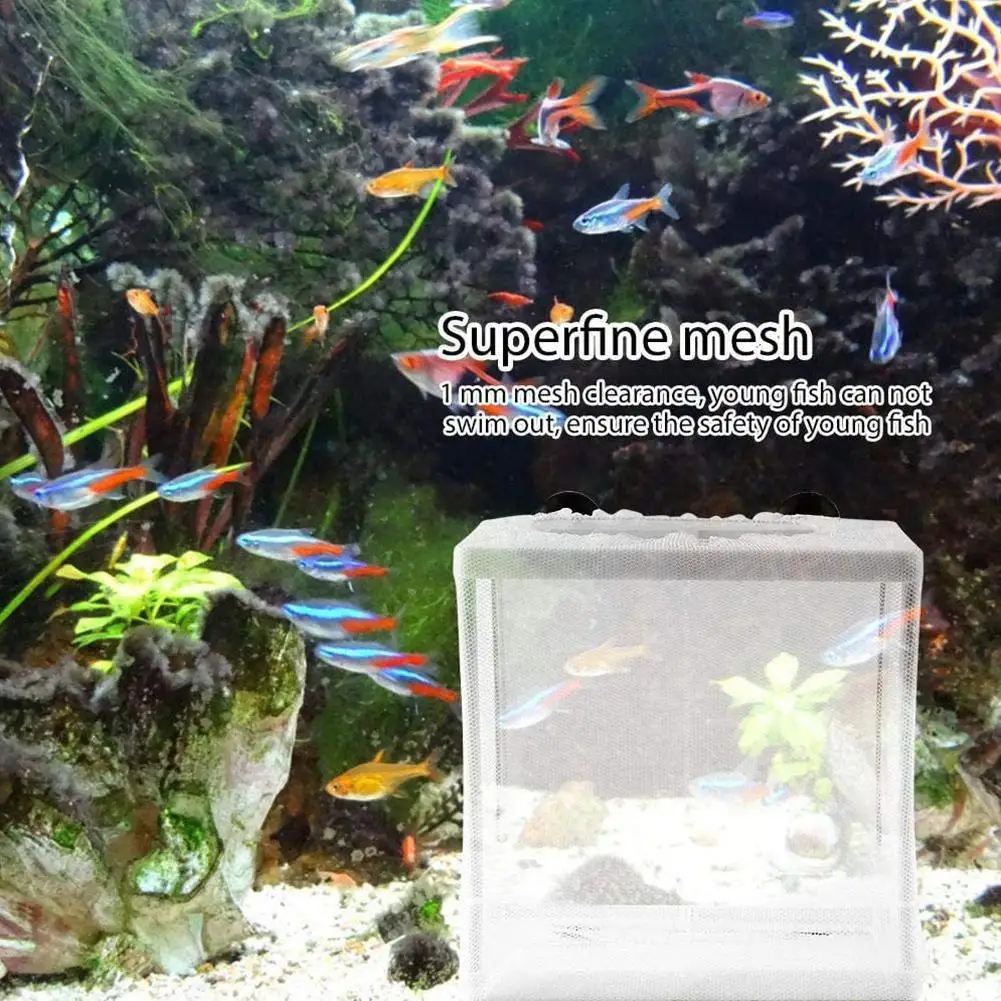 Fish Tank Breeder Net Mesh Fish Breeder Box Fish Hatchery Box Separation Net Incubator Mesh Fish Breeding Box With Suction Cup