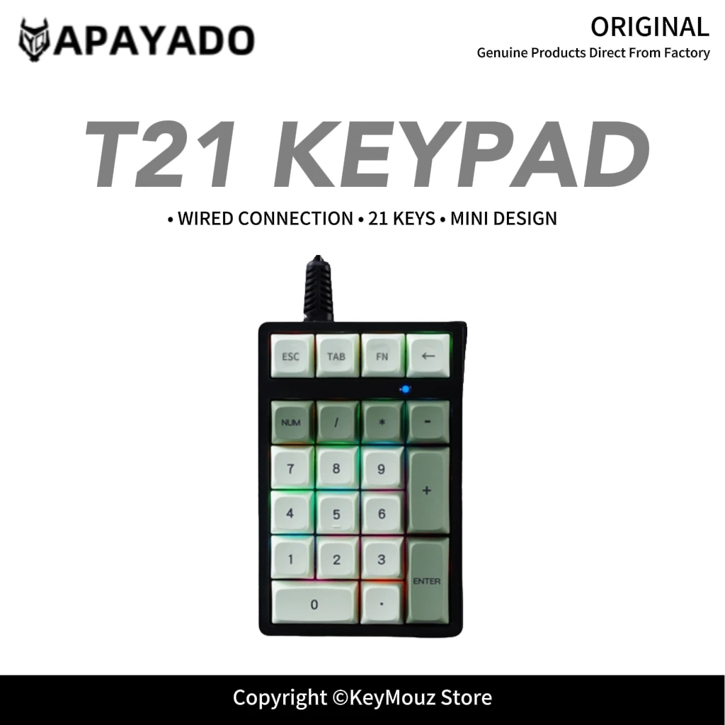 T21 Mini Mechanical Number Pad Blue Switch FN Multi-Function Shortcuts Adjustable Brightness LED Effects for No-Numpad Keyboards