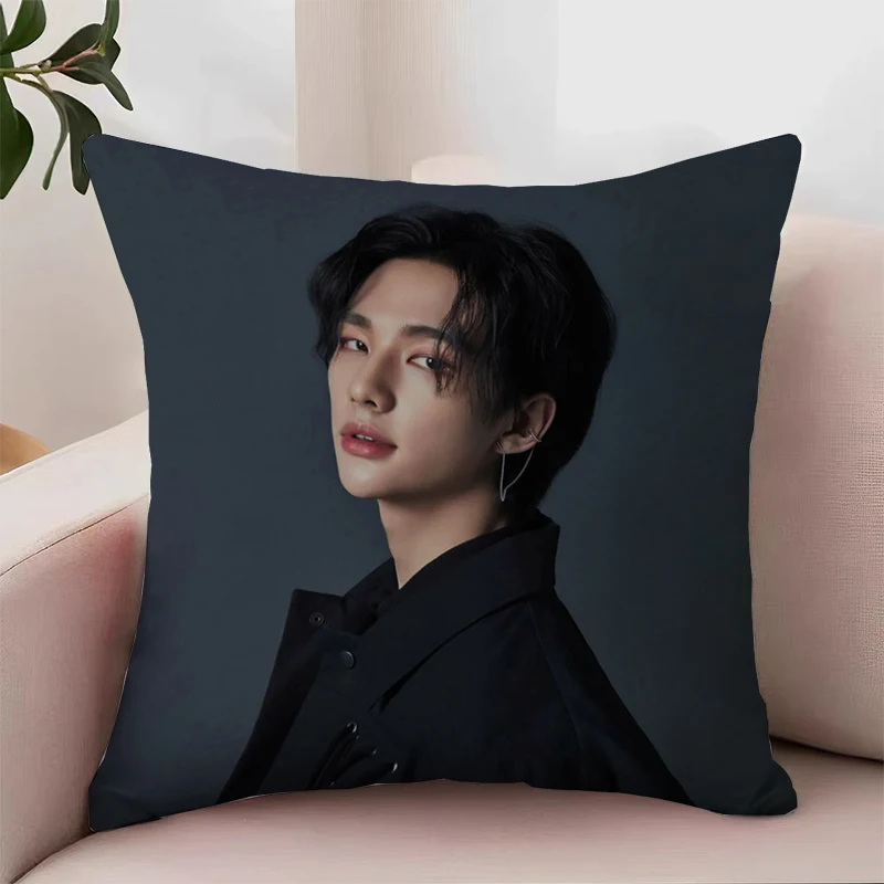 Cover for Pillow Covers Decorative Luxury Cushion Cover H-Hwang Hyun Jin Home Decor Pillowcase 40x40 45x45 Cushions Covers Cases