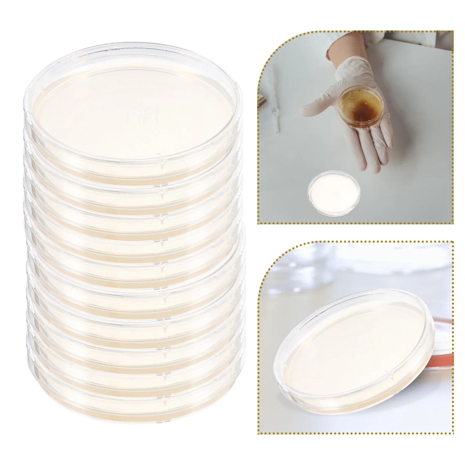

10pcs Culture Medium Nutrient Agar Plates for Lab Experiment Petri Dishes Science Projects Laboratory Supplies