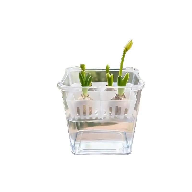 With Breathable Support Basket Tulip Seed Hydroponic Flowerpot 4 Holes Soilless Flower Pot Home DecorationHydroponic Containers