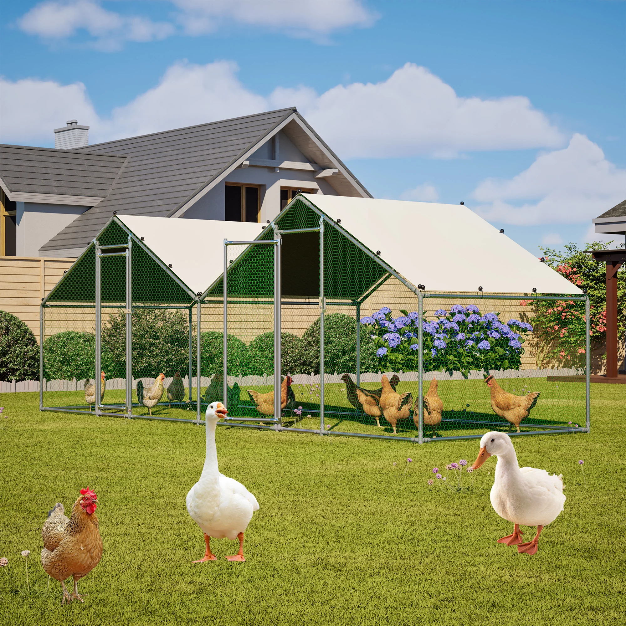 6'x20' Walk-in Chicken Coop wi - огляд і ціна Farming Zone