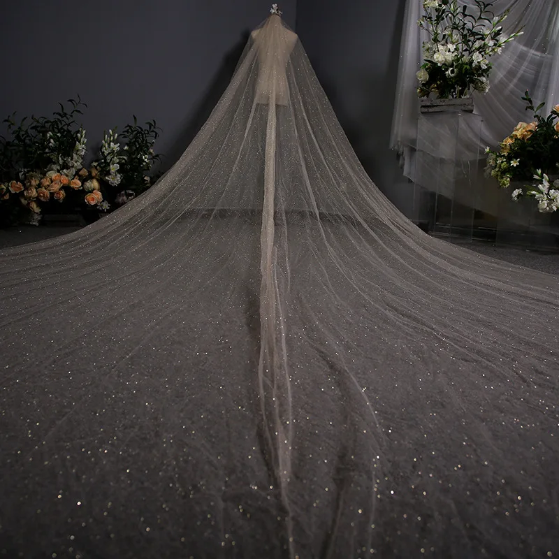 Fashionable Shiny Wedding Long Veil New Wedding Dress 3.8 M Lace White Gold Spray Korean Style Exquisite Bridal Headdress