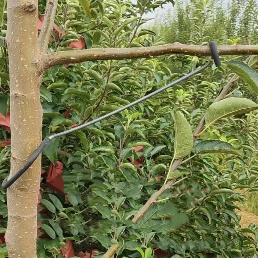 10Pcs Anti-Slip Metal Limb Spreaders with Protective Sleeve Strong Fruit Tree Branch Puller Heavy-Duty High-Strength