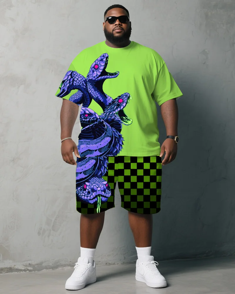 

S-9XL Men's Large Size Animal Checkerboard Print Short Sleeve T-shirt Shorts Two-piece Set