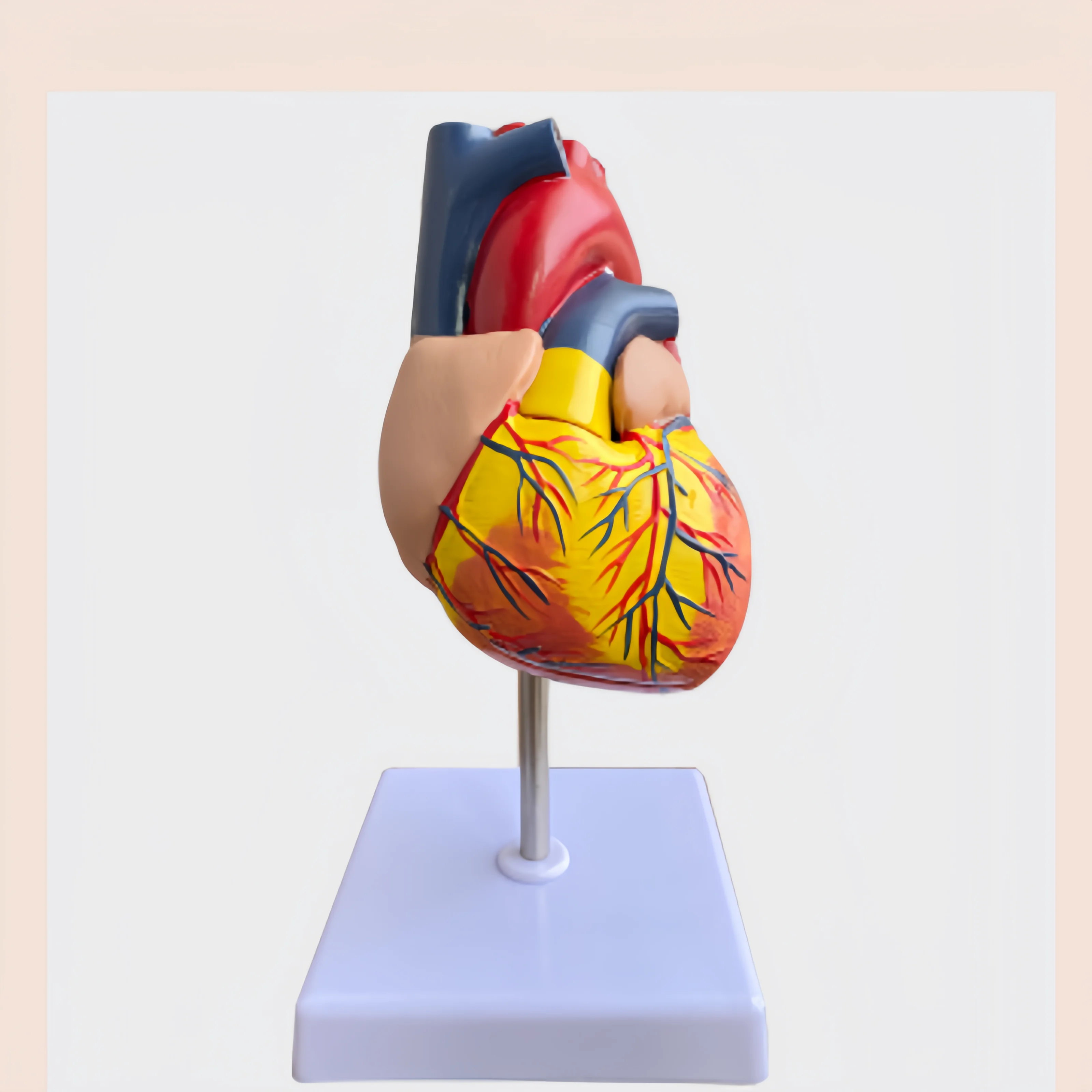 

Высококачественные прямые продажи с фабрики, натуральное большое сердце без логотипа