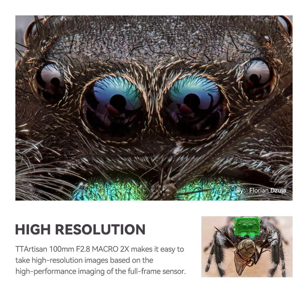 TTArtisan 100mm F2.8 2X عدسة ماكرو لسوني E Fuji X GFX Nikon Z F Canon RF EF Lumix L M43 Leica L Mount Digitale وكاميرا SLR #5