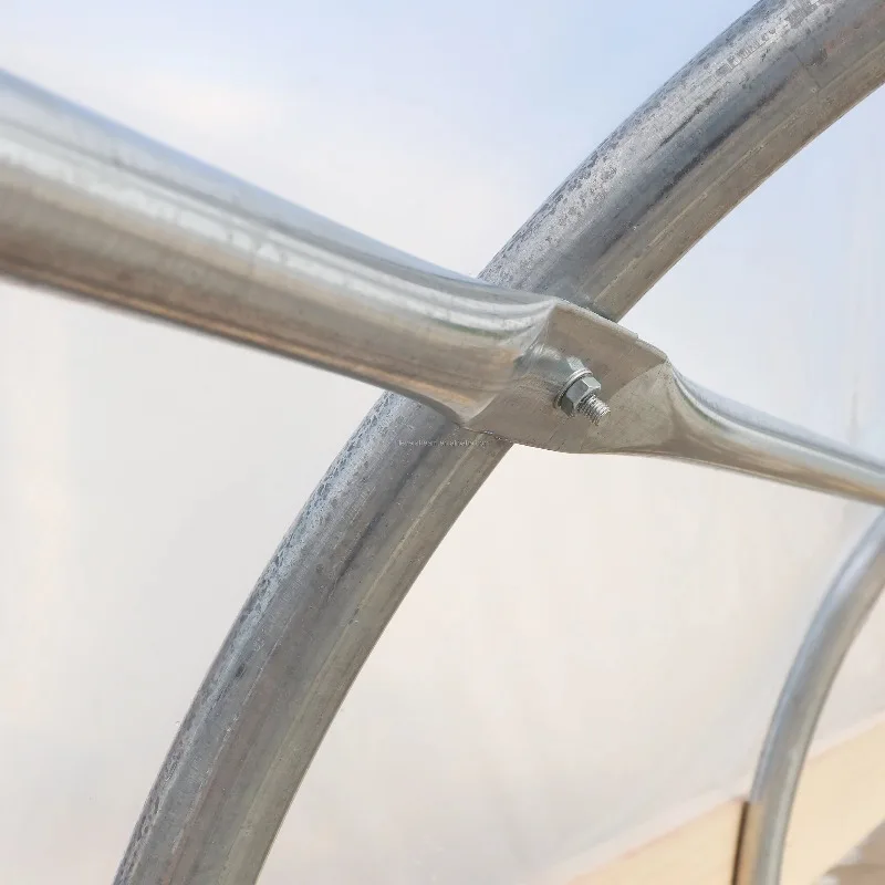 خيمة زراعة الدفيئة الزراعية عالية الجودة بإطار فولاذي وغطاء بلاستيكي EVA بسعر المصنع للبيع #4