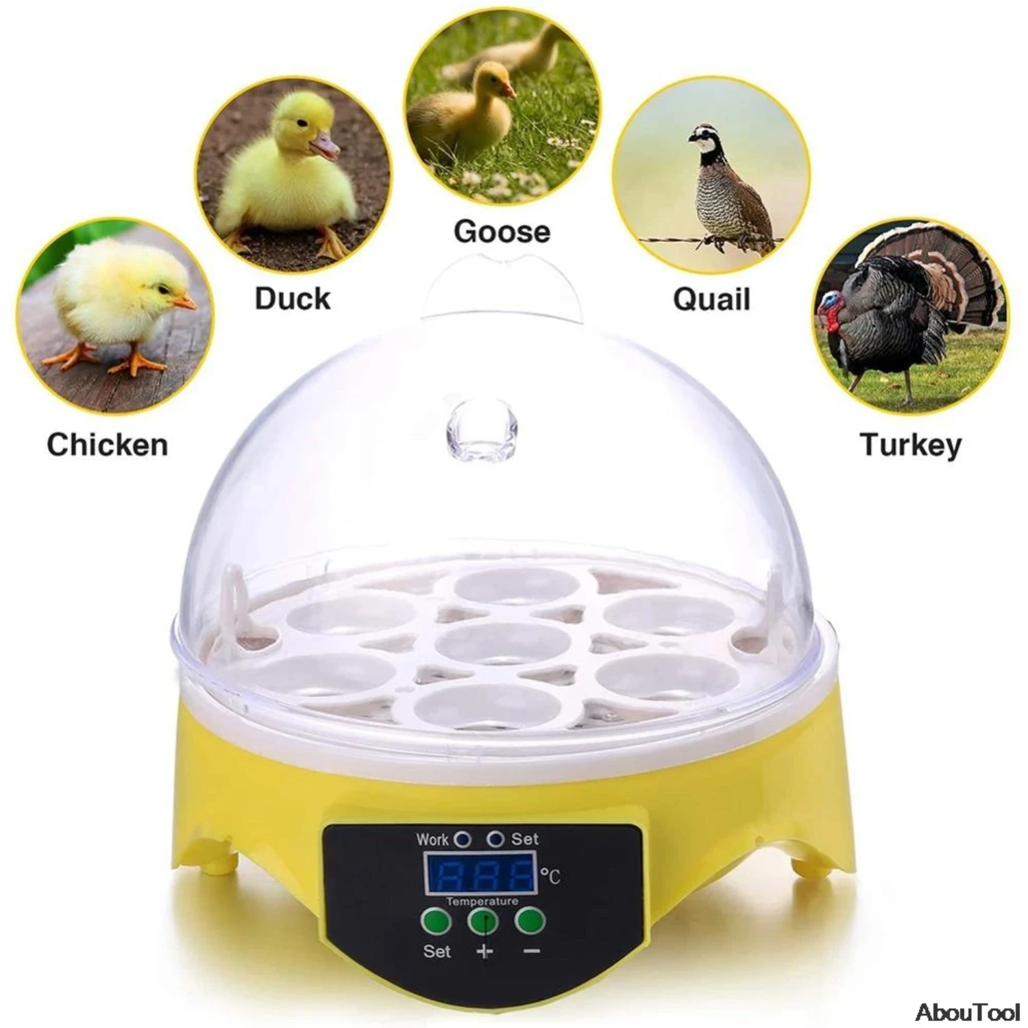 Egg Incubator Poultry Incubator Brooder Digital Temperature Hatchery Egg Incubator Hatcher Chicken Duck Bird Pigeon Mini 7 PCS