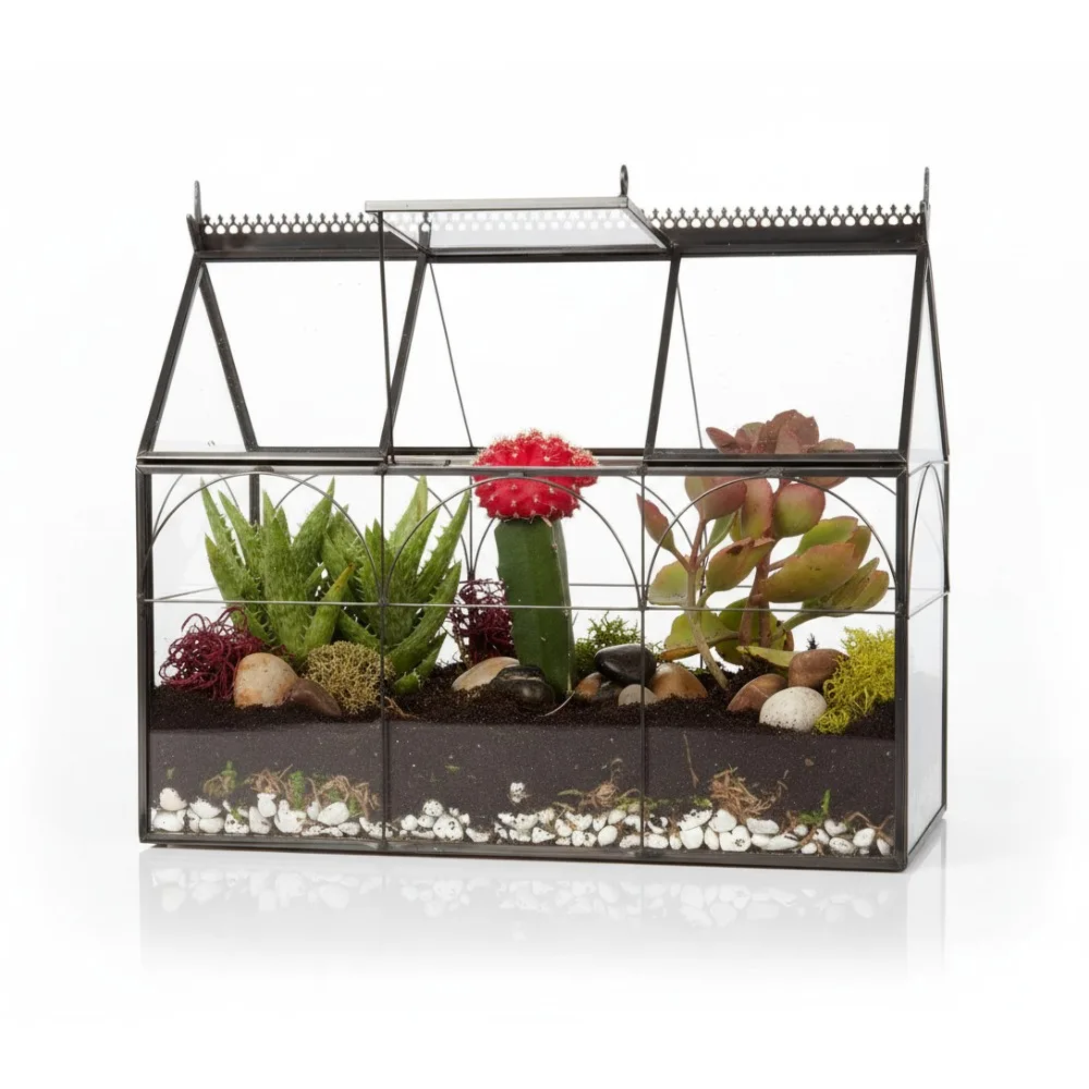 

Glass Greenhouse Terrarium 10x4.5x9 - Hinged Planter for Succulents & Air Plants - Home Office Wedding Decor