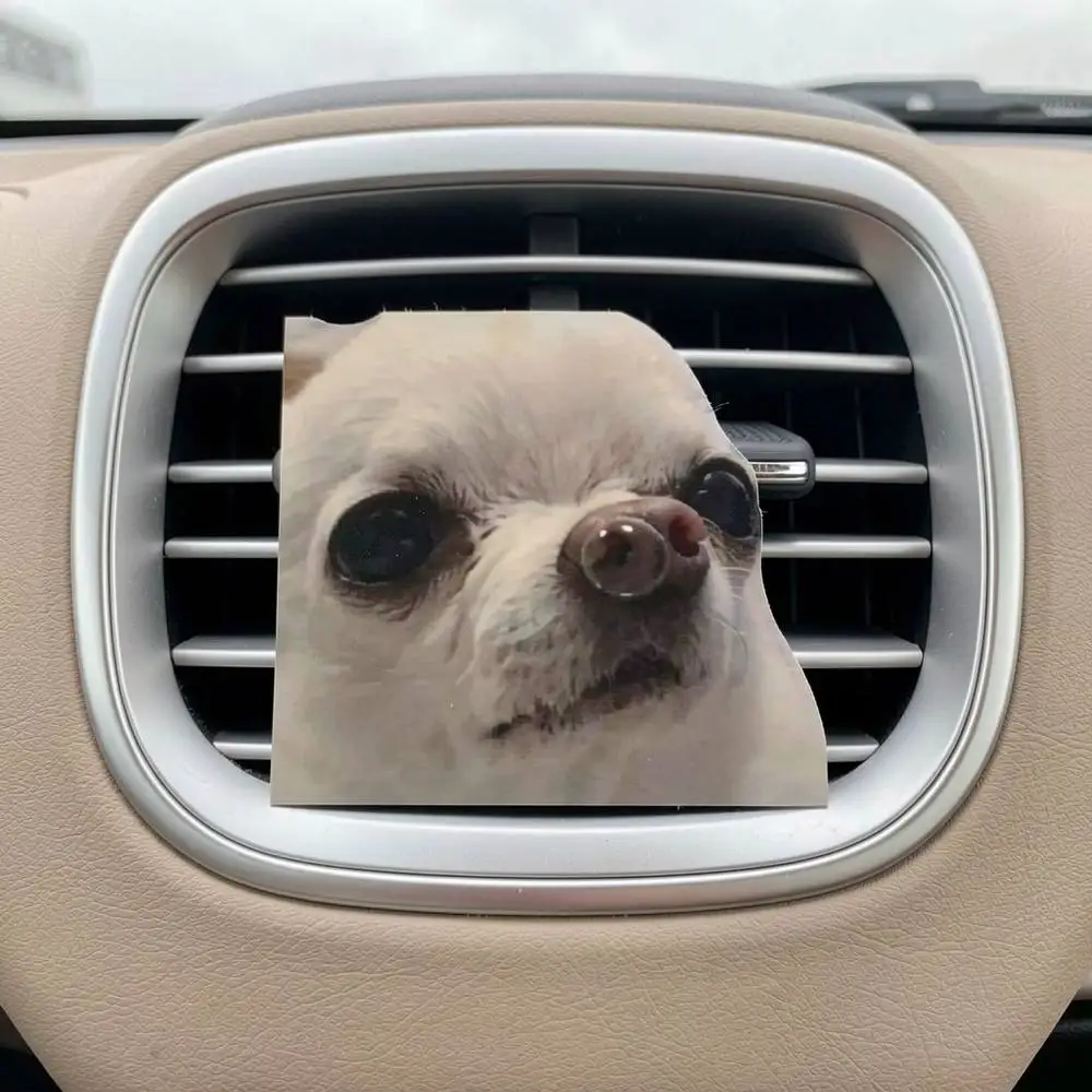 Automotive Air Freshener Provides Long Lasting Fragrance For Car Interior And Comfort
