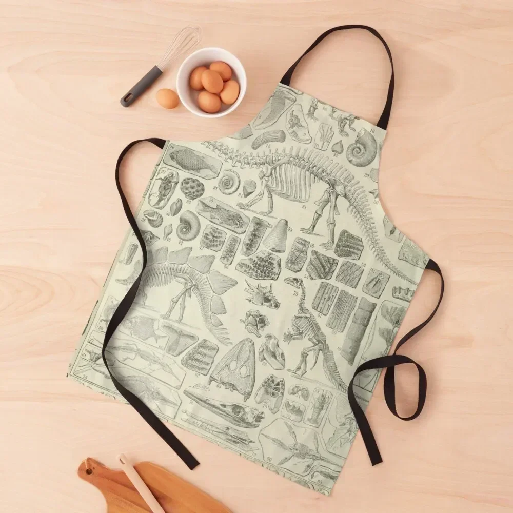 

Fossil Chart Apron professional kitchen Woman Kitchens cook wear painting Apron