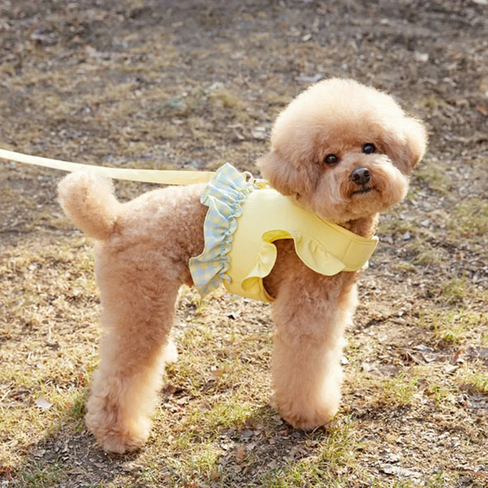 Dog Color Contrast Traction Rope Pet Fungus Lace Short Vest Walking Dogs Rope Small Dog Teddy Pet Supplies Dog Harness