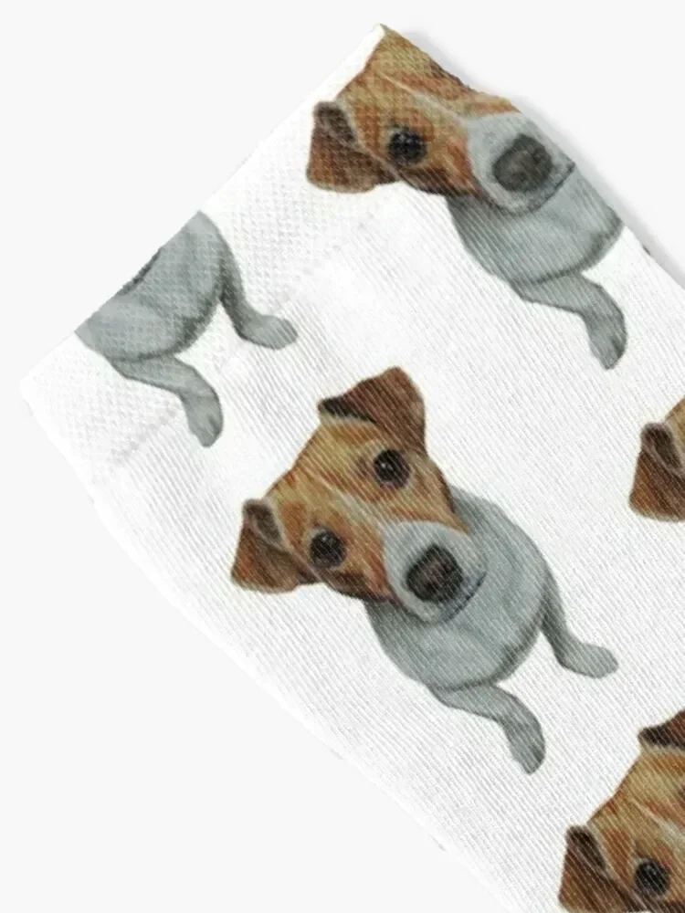 Sky the Jack Russell Terrier Socks sheer Stockings Woman Socks Men's