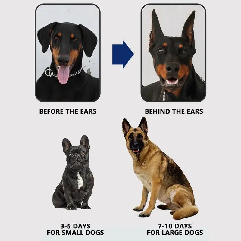 Dog Ear Posting Kit Fixed Dog Ear Stand Up Tool Support Fixed Doberman Dog Ear Posting Kit For Doberman Dog over 2 Months