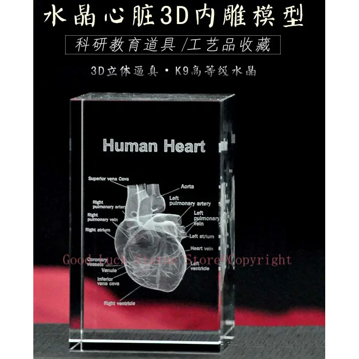 TOP COOL BEST GIFT - Medicine Medical Science Internal medicine Doctor heart Figurine 3D Crystal decorative art statue