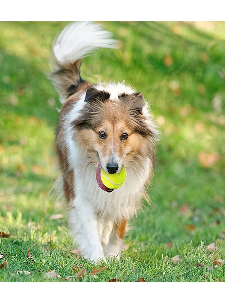 Dog Launcher Automatic Dogs Chase Toy Tennis Throwing Pinball Machine Fun Interactive Throw Rechargable Catapult USB Charging