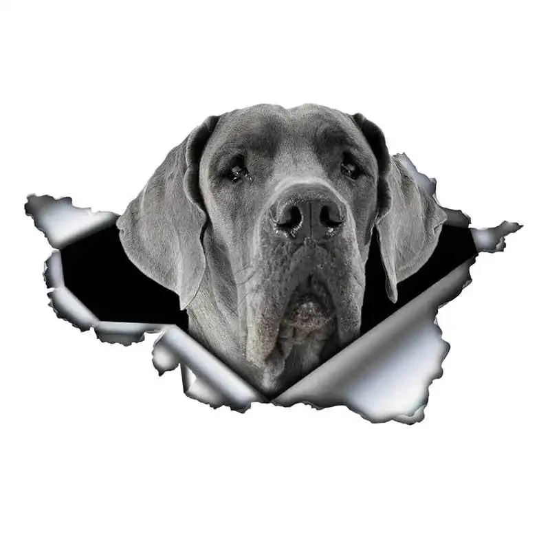 13cm X 9cm Black Cane Corso Car Sticker Torn Metal Decal Reflective Stickers Waterproof Car Styling Accessories Pet Dog Decals