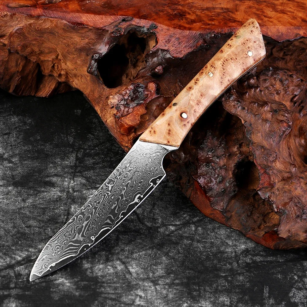 3.5inch 67Layer Damascus Steel Fruit Knife VG10 Steel Full Tang Blade Utility Vegetable Cutting Cheese Slicing Kitchen Knives