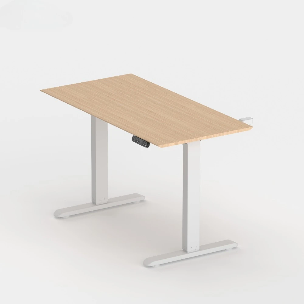 Dual Motor Electric Adjustable Standing Desk Height Adjustable Desk Frame Sit Stand Desk