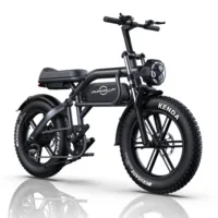 PHNHOLUN C8 Electric Bike, 1000W Motor, 48V 20Ah Battery, 20*4.0-inch Fat Tires, 50Km/h Max Speed, 190km Range, Suspension