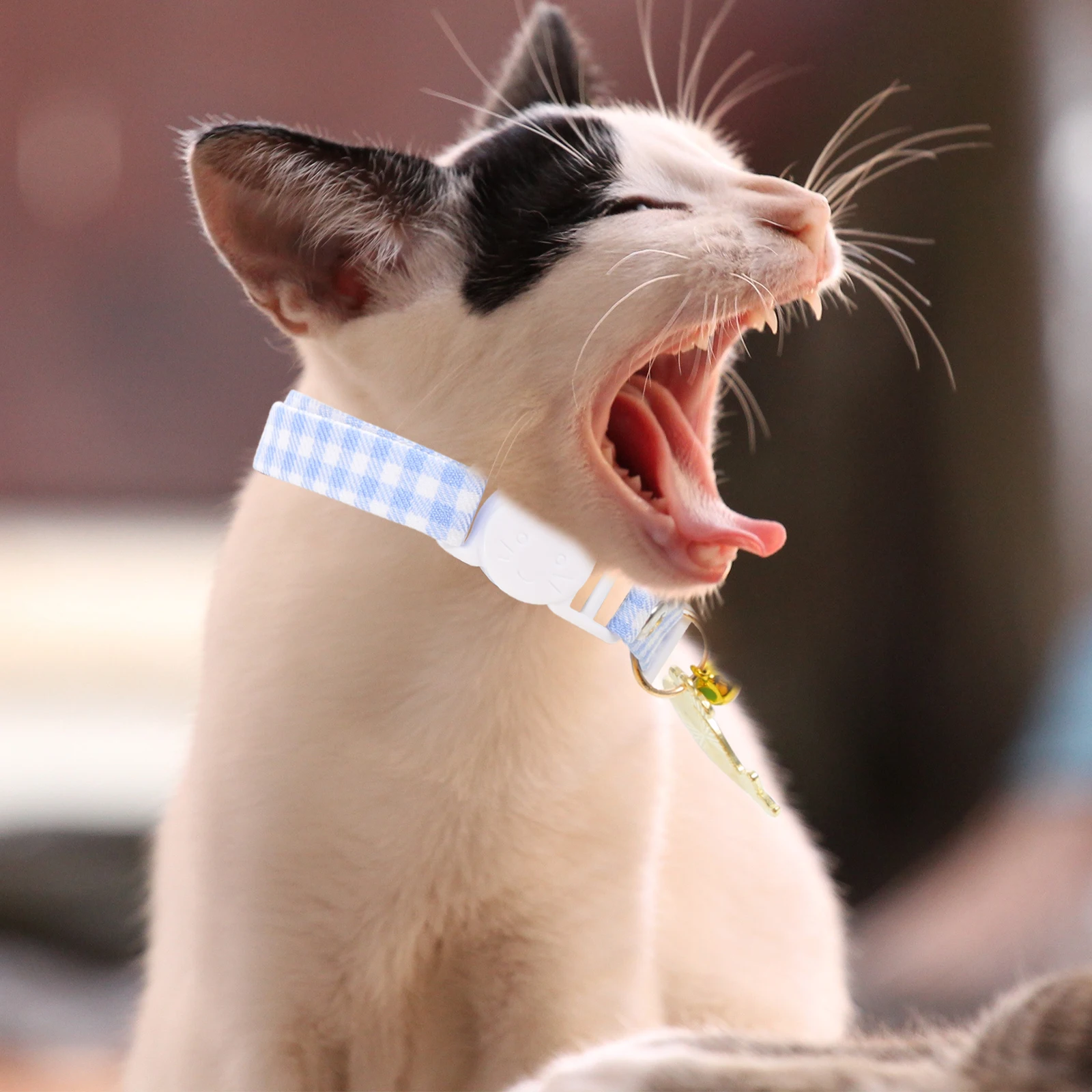 

2Pcs Cat Collar Bells Cute Training Chain for Girl Cats Kitten Boys Adjustable Lightweight Pet Accessories Christmas