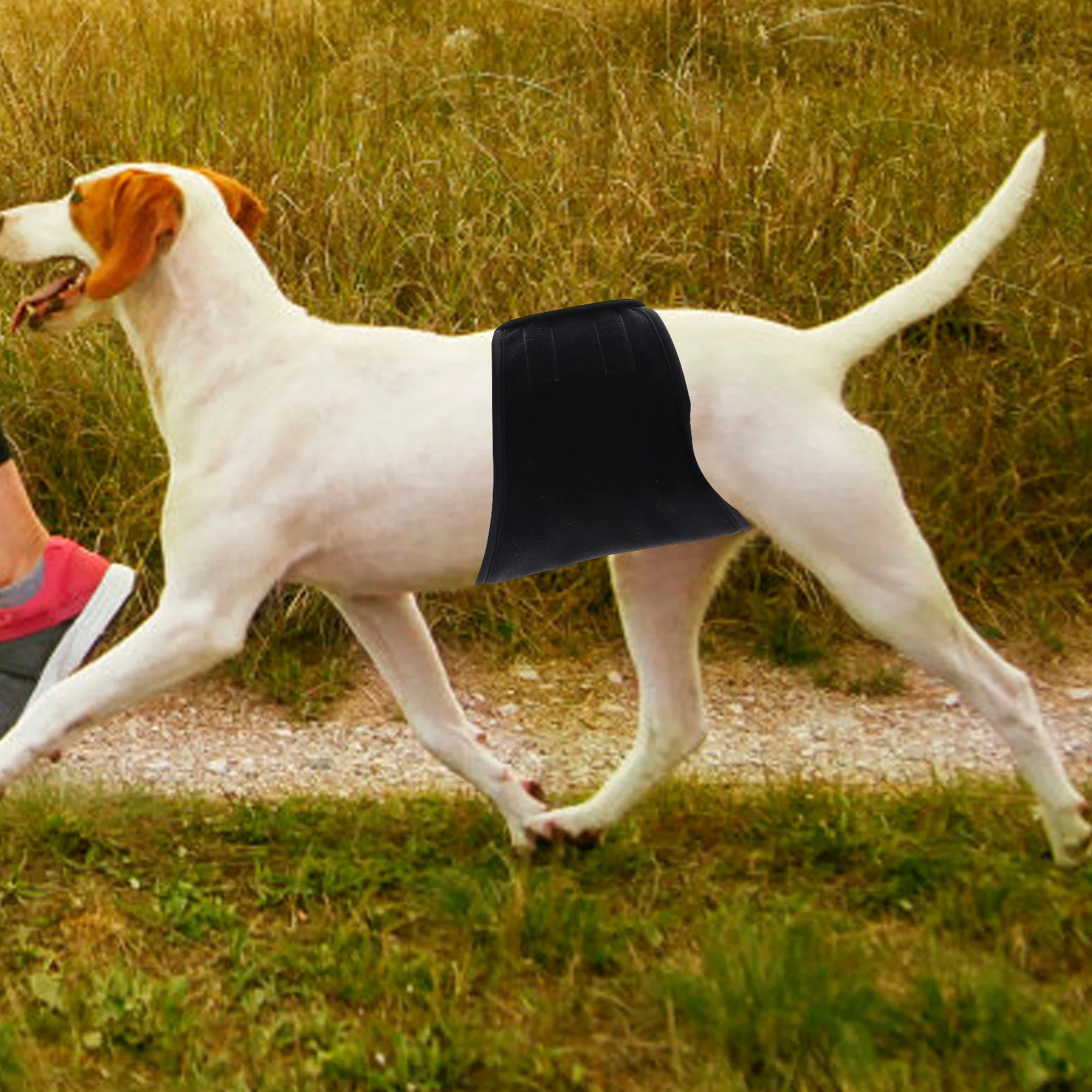 

Portable Pet Dog Diaper Washable Belly Wrap Lightweight Reusable for Indoor Outdoor Use Comfortable Secure Fit for All Breeds