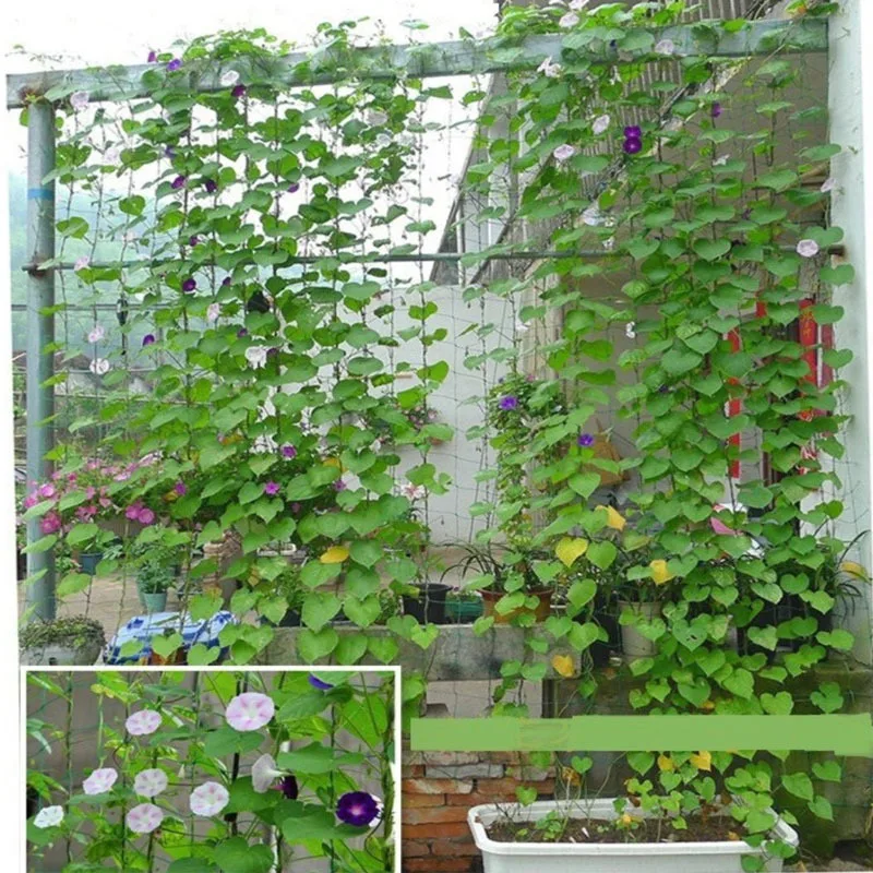 Trellis Netting for Climbing Plants Heavy Duty Garden Trellis Netting for Vine,Fruits & Vegetables,Climbing Vining Plants