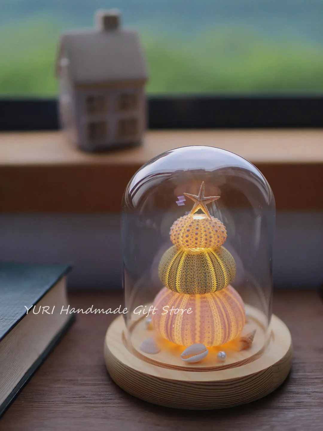 Shell Sea Urchin Night Lamp Handmade DIY Ornaments Natural Creatures Cute Bedroom Light Ocean Lovers Birthday Gift Christmas Day