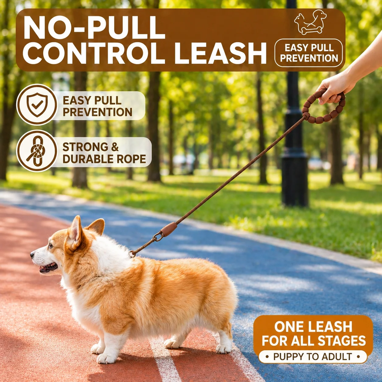 Nylon Dog Leash P Chain Training Collar, 360° Swivel Anti-tangle Comfort Handle, Anti-choke Pet Lead for Medium Large Dogs