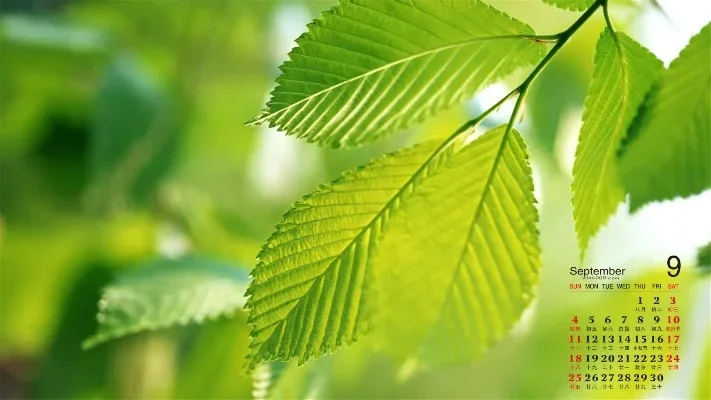 

500ml Owl Bird Ceramic Tiki Mug Hawaiian Ceramic Cup Creative Porcelain Beer Wine Mug Cup Bar Tool