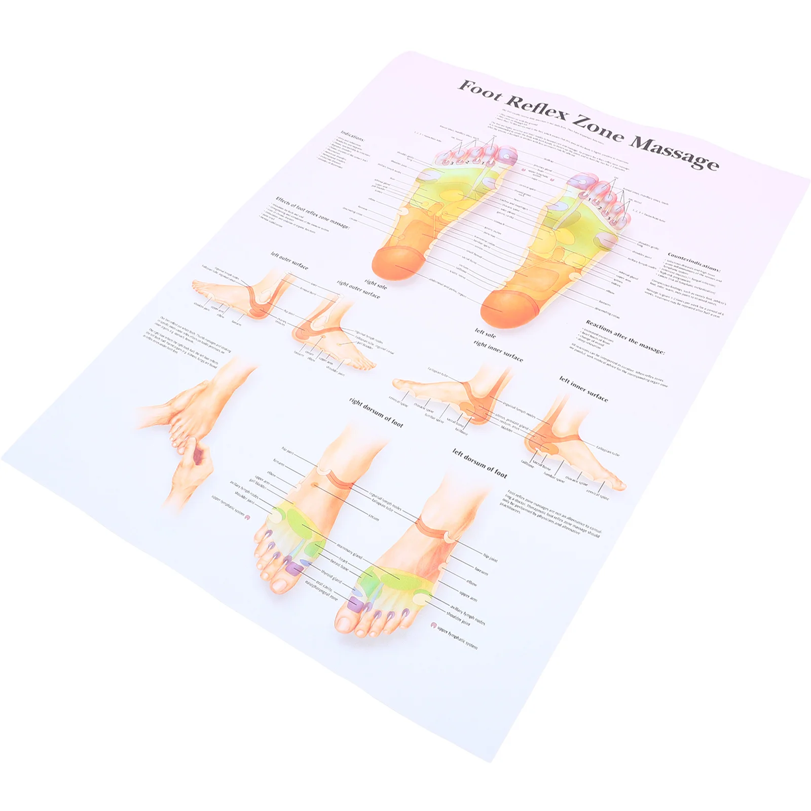 

Foot Reflexology Poster 24X36 Inch Medical Teaching Chart Durable Anatomy Wall Art For Office Classroom Home Decor Massage