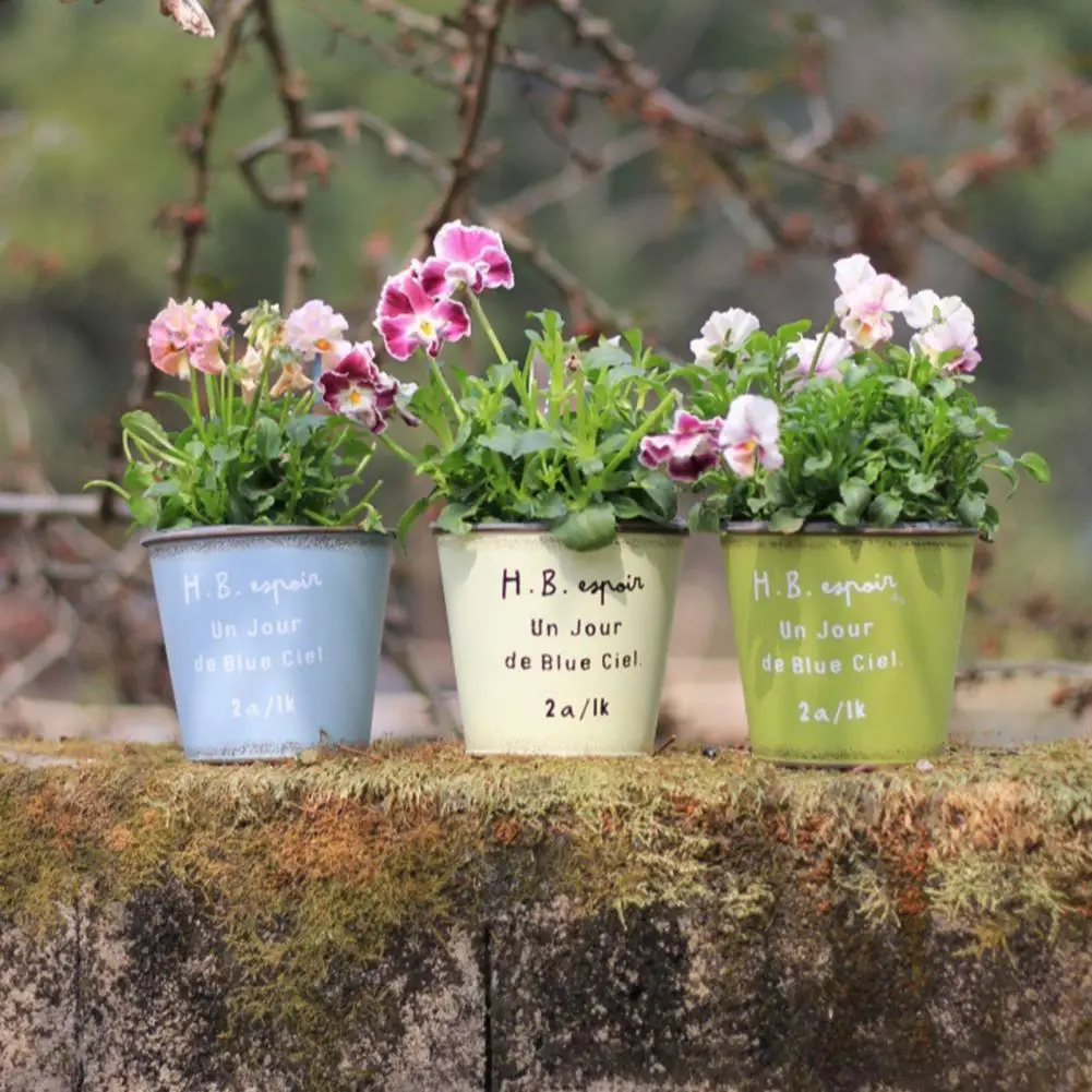 Hanging Flower Pot Hanging Metal Planter Hanging Metal Flowerpot Decorative Planter Outdoor Garden Plant Pot for Balcony Fence