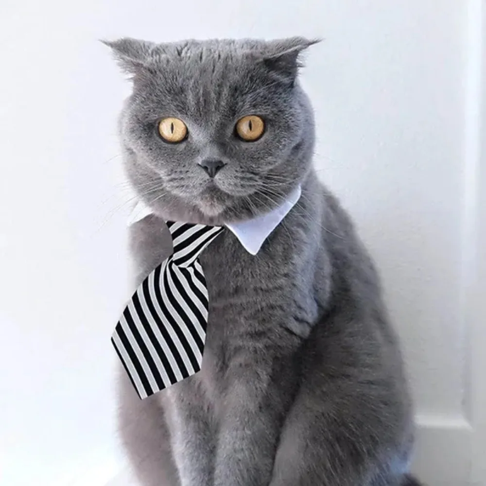 Pet Puppy Bow Tie Necktie, Adjustable Pet Neck Tie Costume Formal Dog Collar for Small Dogs and Cats Puppy Grooming Ties