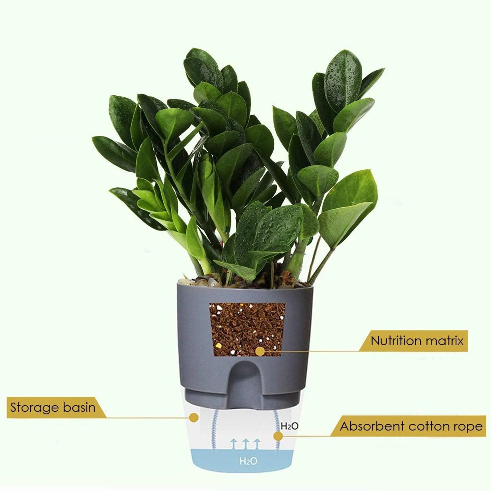 Transparent Double Layer Plastic Flower Pot Self Watering Flowerpot Cotton Rope Watering Small Plant Pot with Injection Port