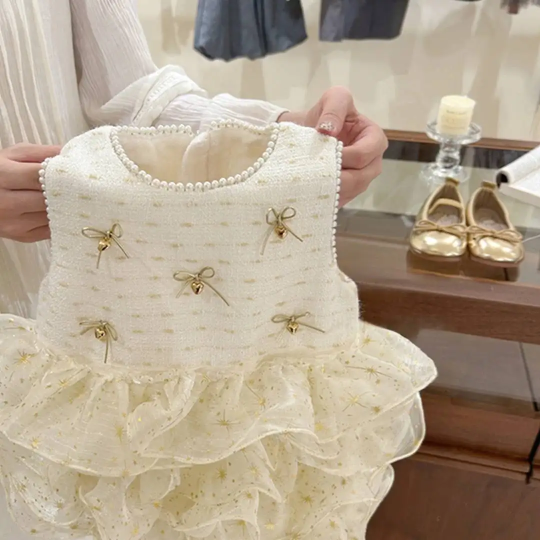 Sweet and Lovely Princess Is Back! Girl's Little Fragrant Princess Skirt Winter One Year Old Dress Children's Dress