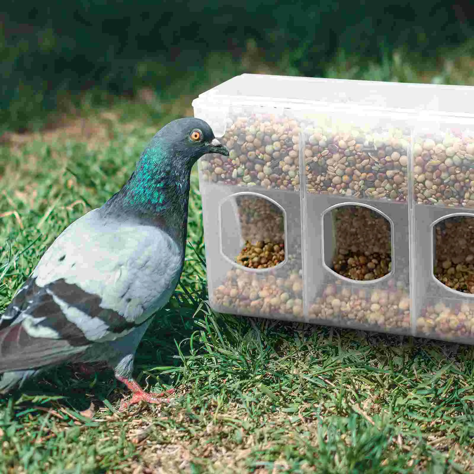 Chicken Pigeon Feeder Pet Food Container Bird Bowl Hummingbird Clear Plastic Travel
