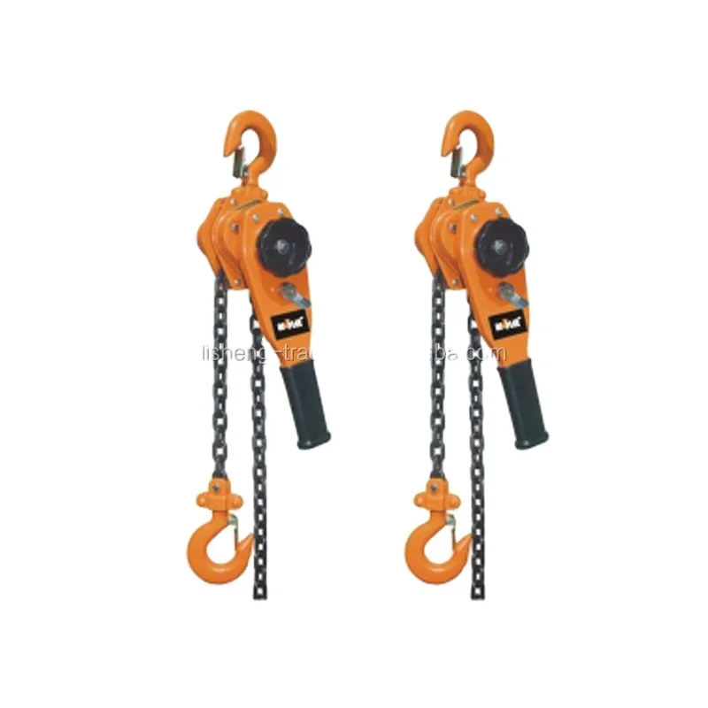 Chain Hoist Pulley Manual Stainless Steel Chain 1/2/3/5/10 Ton Price Lever Block