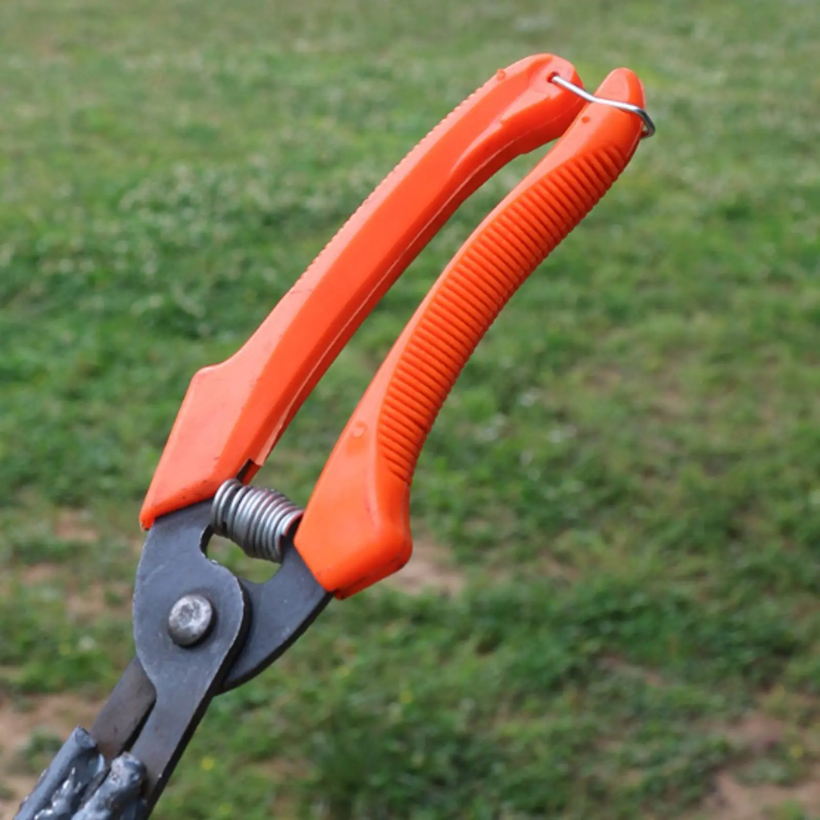 

Sweet Potato Seedling Planter Labor Saving Seedling Transplant Pliers Vegetable Planting Tongs Curved Tip Transplanting Tool