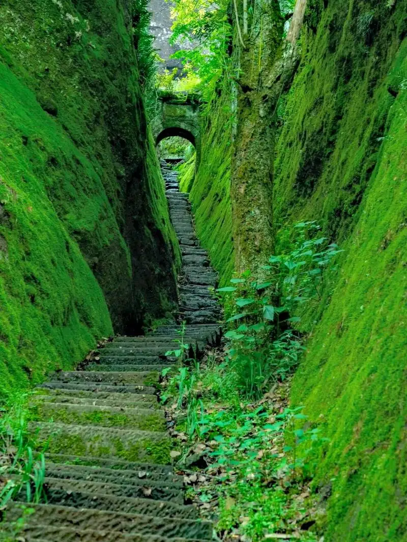 

MPPT Wind Solar Hybrid Charge Controller 2KW 4KW 5KW 6KW 48V 24V 12V Automatic Hybrid Controller With Dump Load Resistor