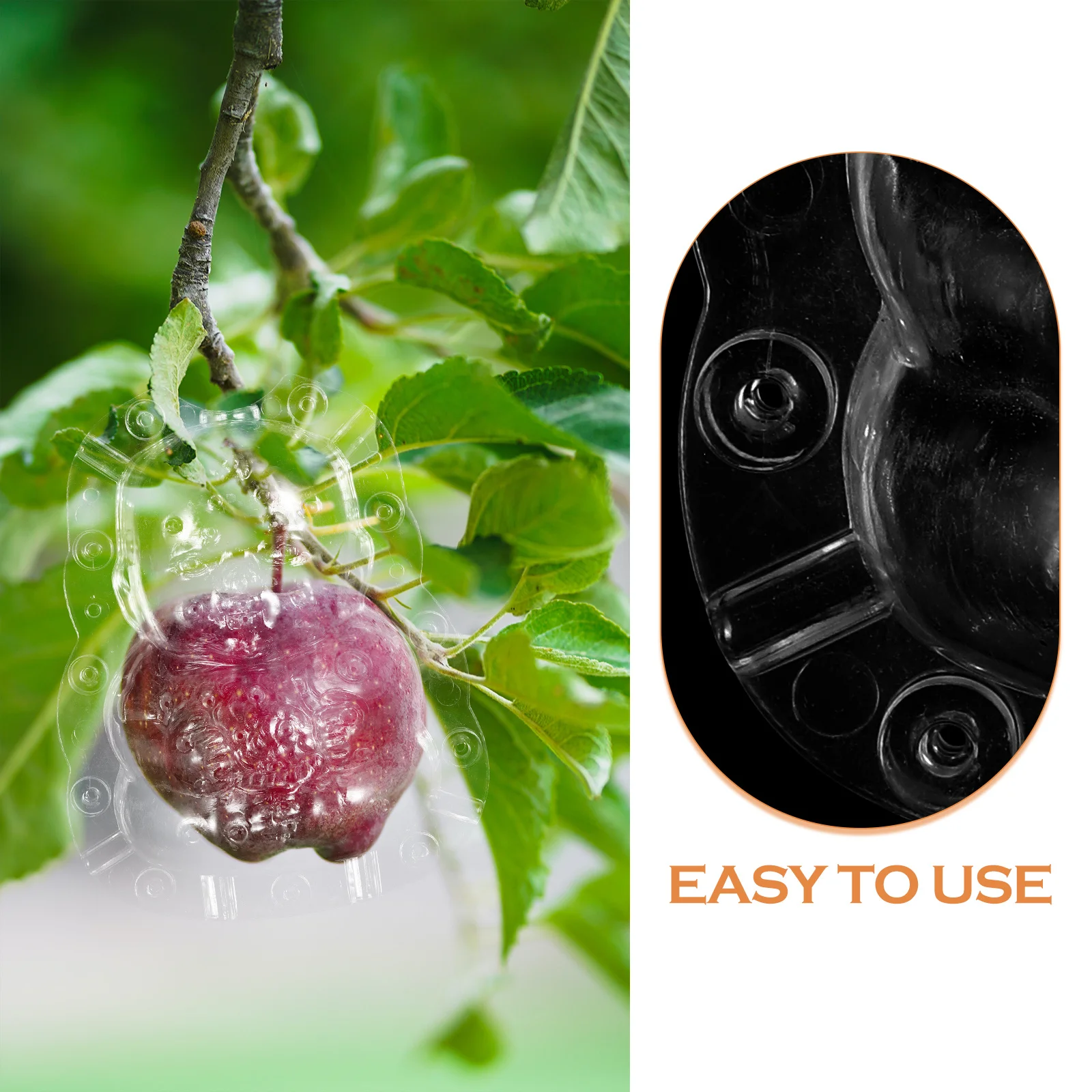 

2Pcs Fruit Shaper Mold Durable Transparent Melon Growing Tool for Vegetable Fruit Growth Garden Transparent Shaping