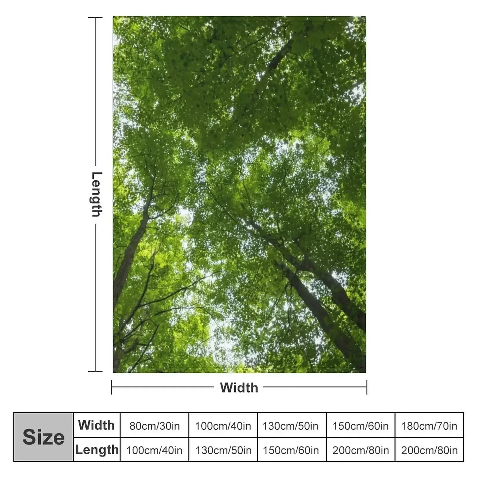 Natural Skylights - Biophilic Ceiling in the Woods Throw Blanket Picnic for winter Thermals For Travel warm winter Blankets