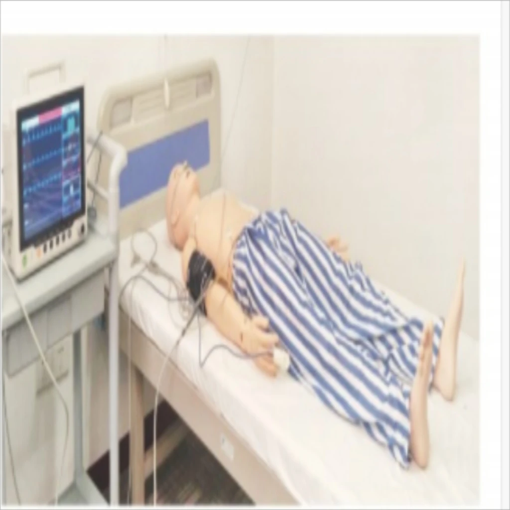 Advanced ECG Monitoring Training Simulator