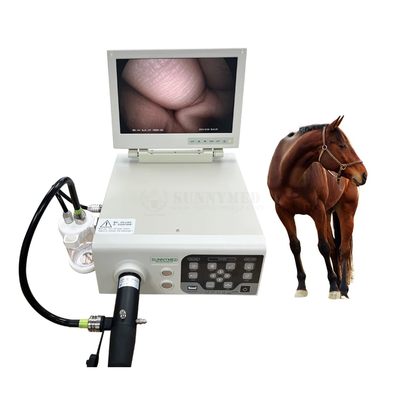 SY-P033-1 Veterinary Clinical Endoscope Flexible Gastroscope and Colonoscope Applicable for Big Animals Like Horse